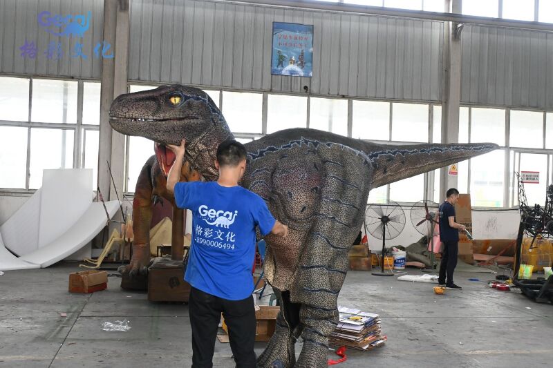 迅猛龙穿戴表演服