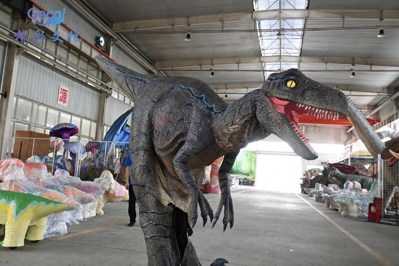 迅猛龙穿戴表演服