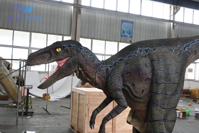 迅猛龙穿戴表演服