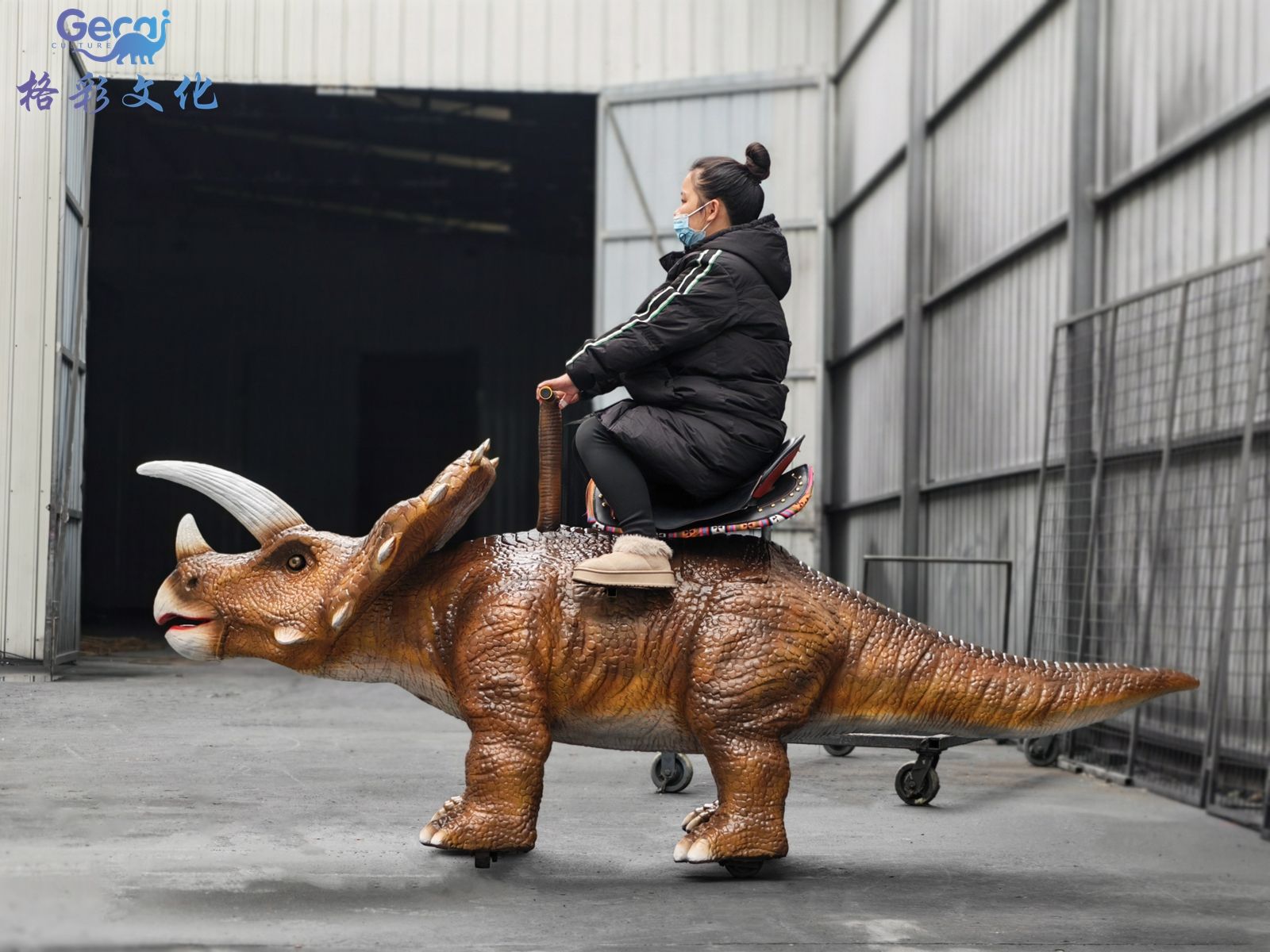 骑乘行走三角龙