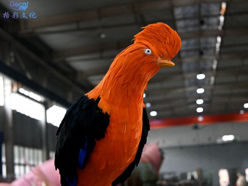 ​动冠伞鸟模型