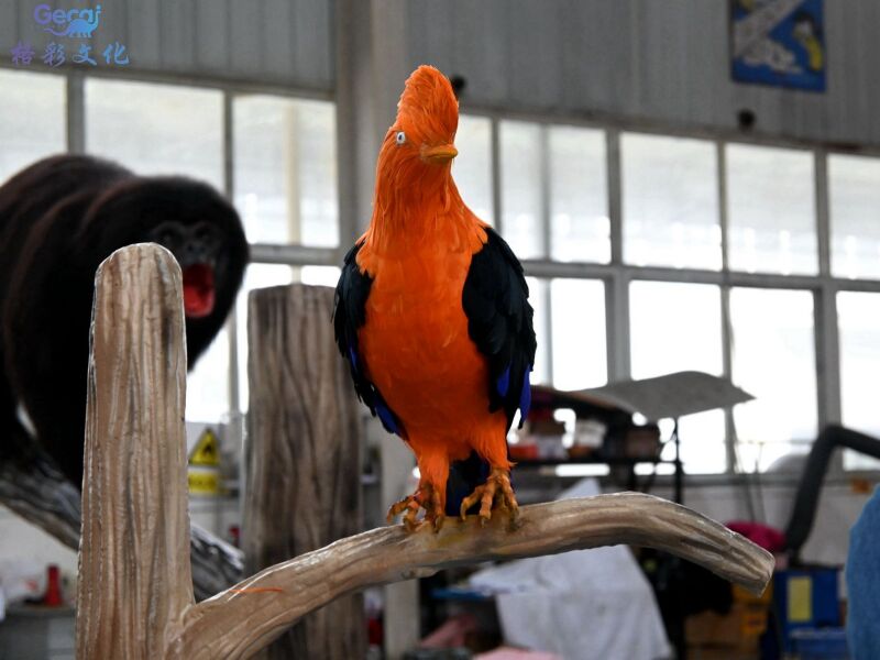 ​动冠伞鸟模型