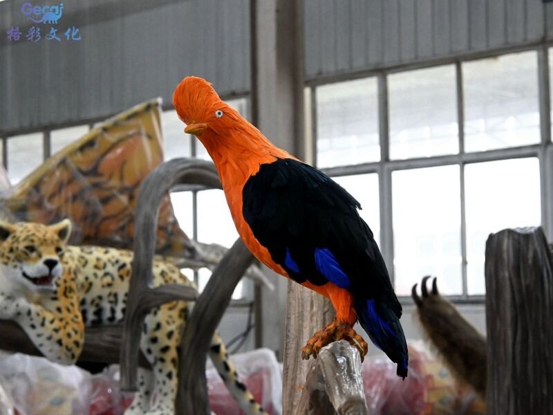 ​动冠伞鸟模型