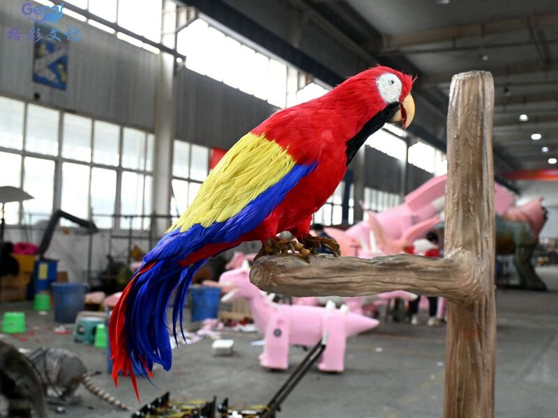 红金刚鹦鹉模型