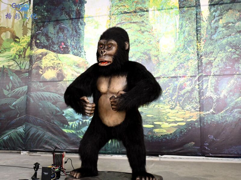 猩猩模型