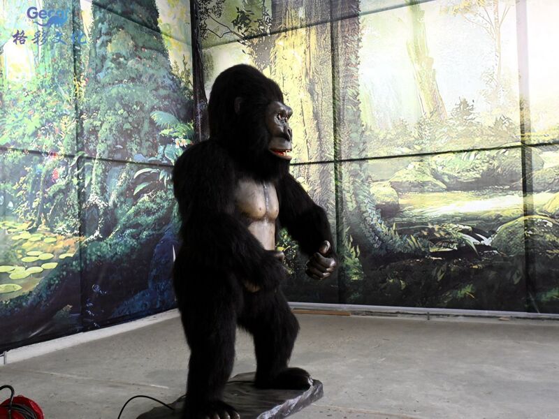 猩猩模型