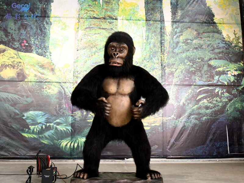 猩猩模型