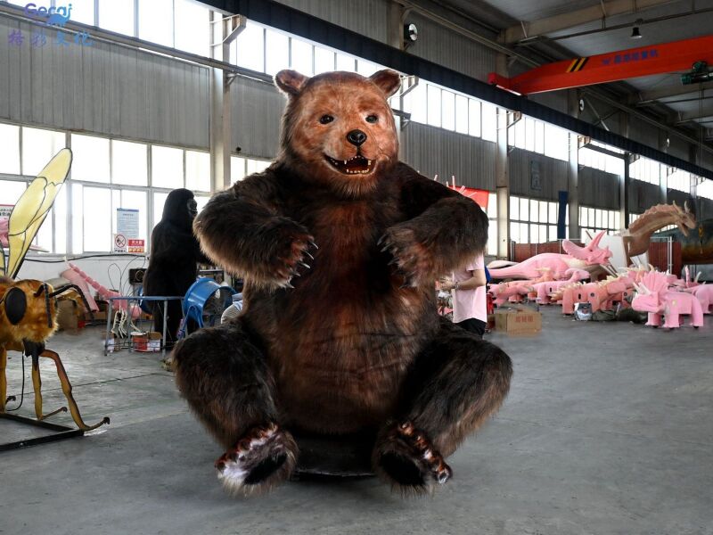 棕熊模型