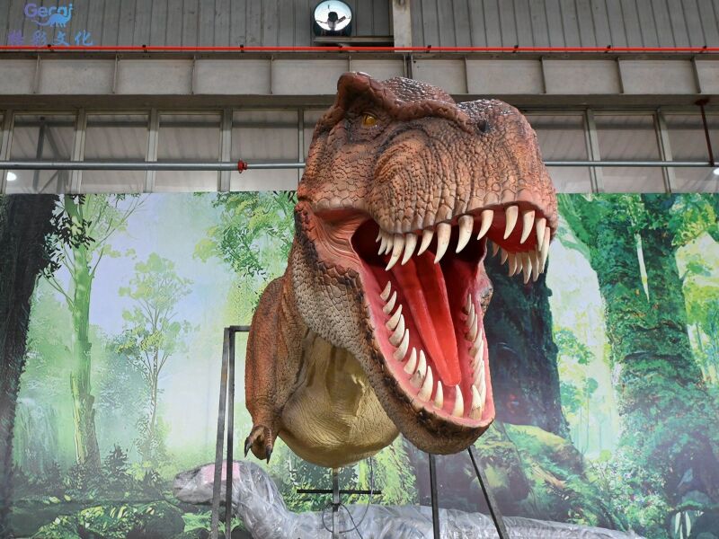 霸王龙龙头模型