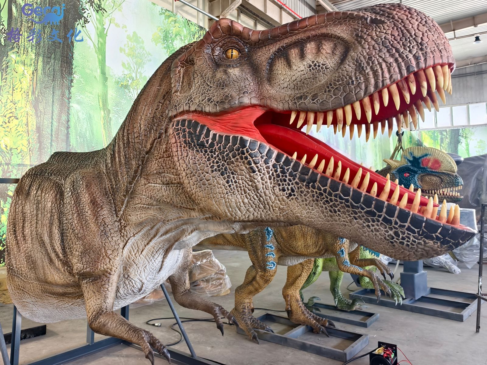 动态霸王龙头模型