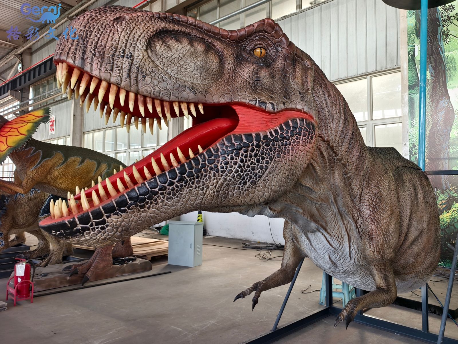 动态霸王龙头模型