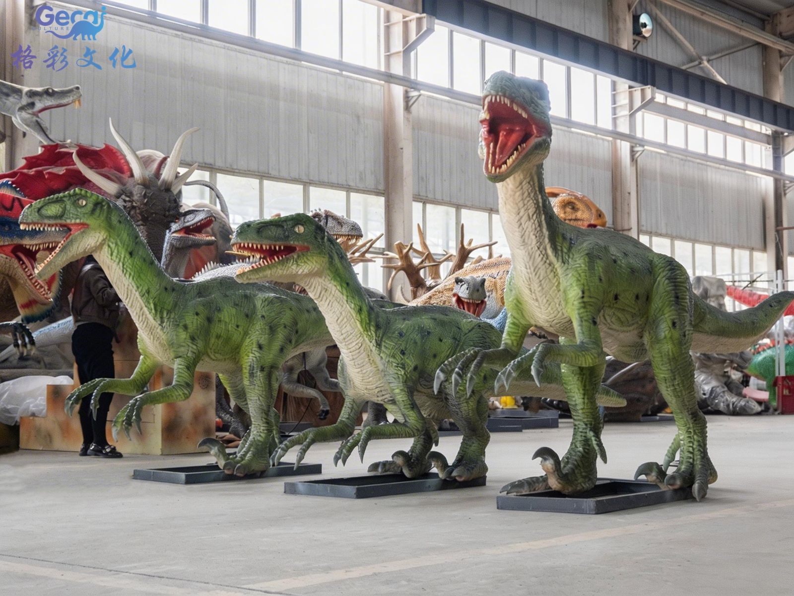 ​迅猛龙群组模型