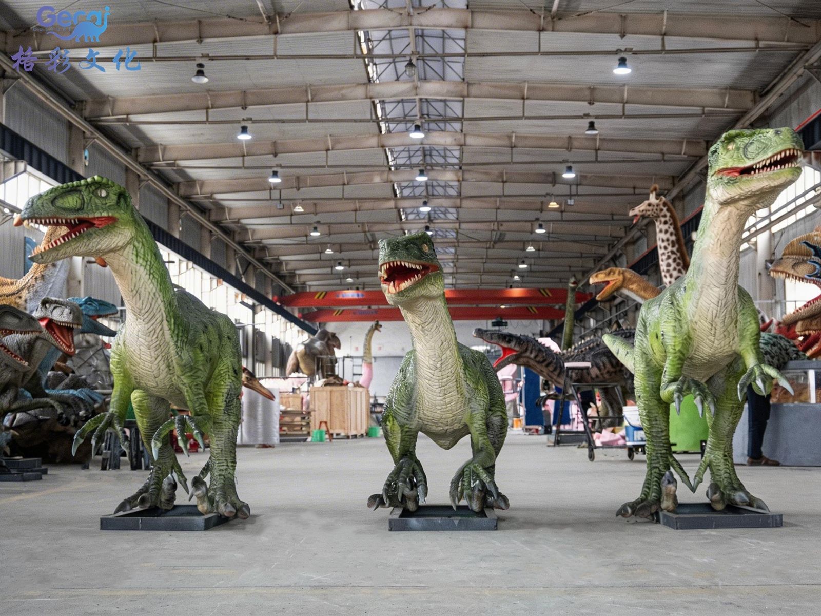 ​迅猛龙群组模型