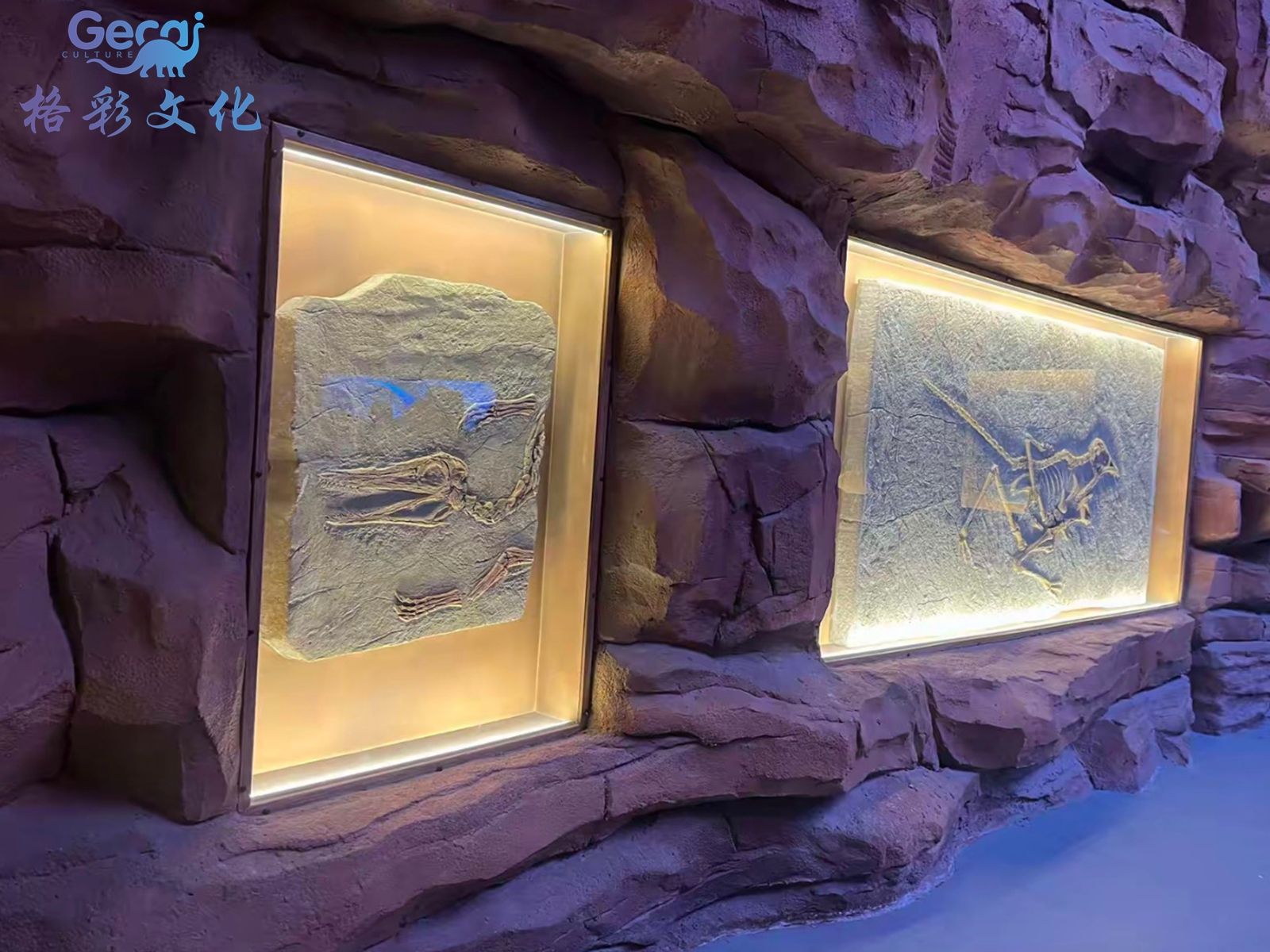 古生物化石模型