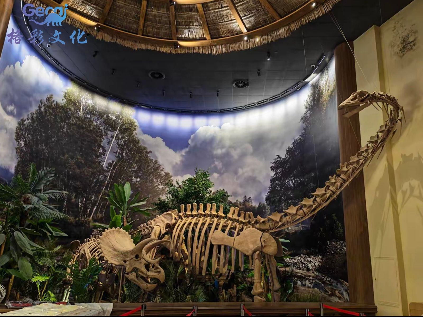 马门溪龙骨架化石